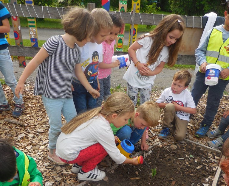 Die Kinder pflanzen Kürbisse im Schulgarten